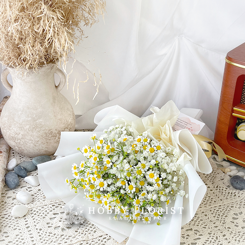 Starry Chamomile - Image 13