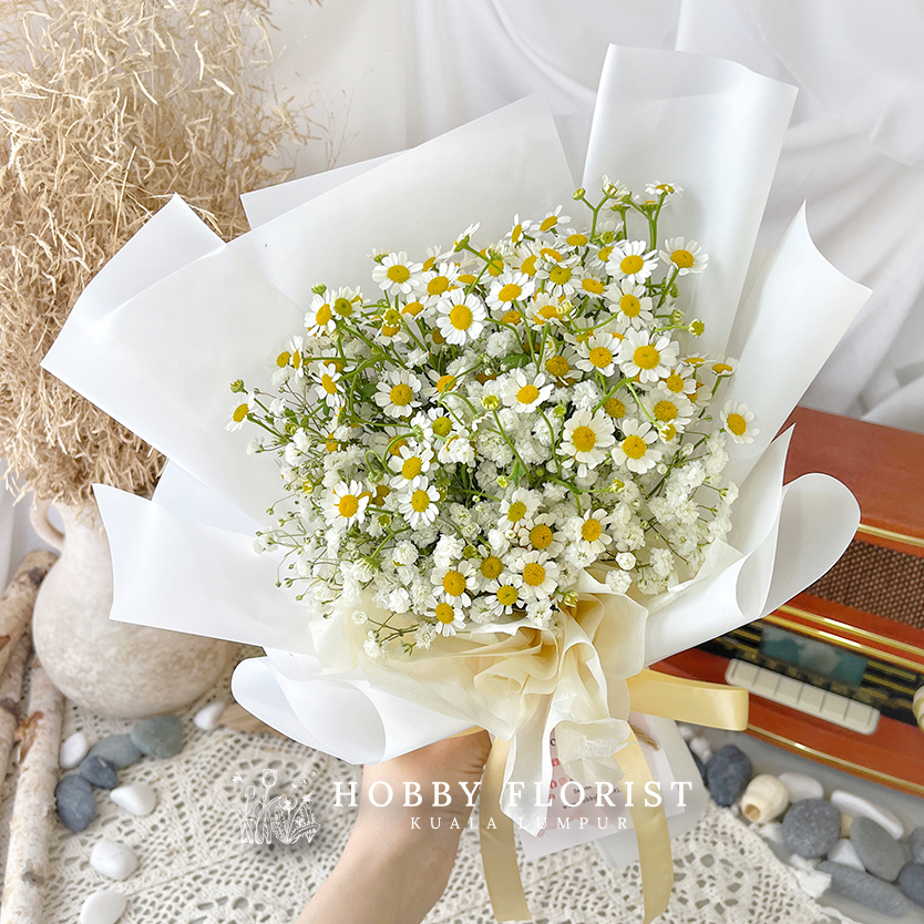 Starry Chamomile - Image 7