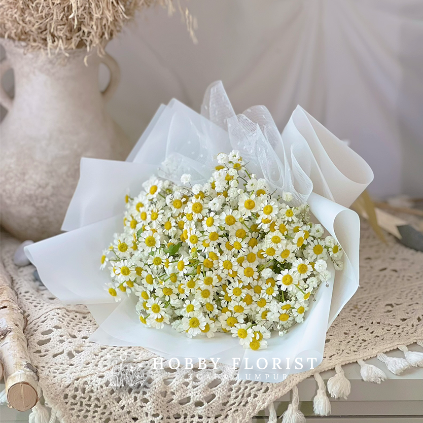 Starry Chamomile - Image 12