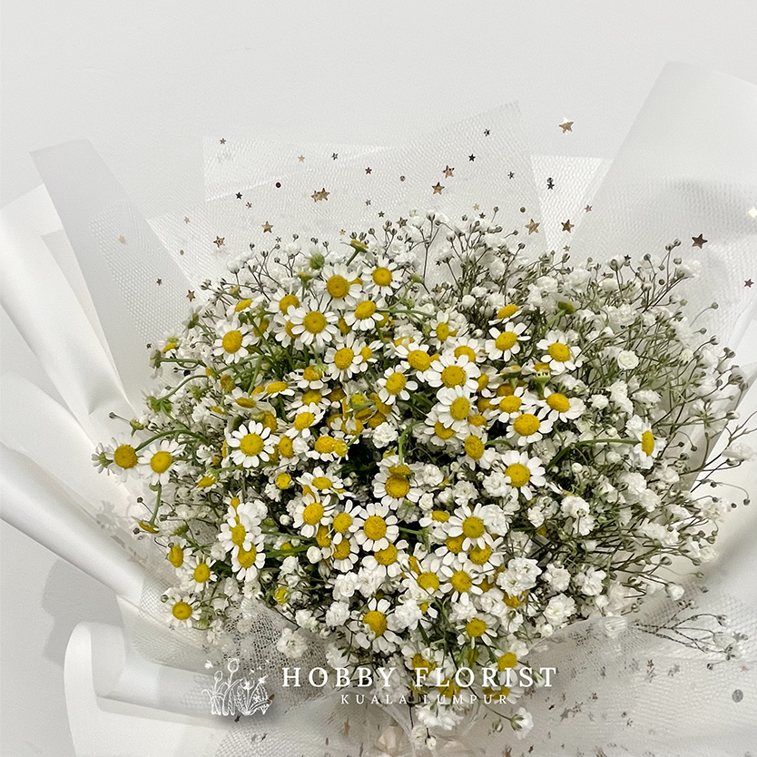 Starry Chamomile - Image 6